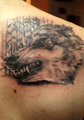 Tattoos - Alex De Pase - wolf  - 29177
